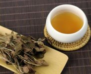 金線蓮泡茶一次放幾根？