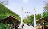 5月12日：徒步貢茶古道，天然氧吧，綠色之旅